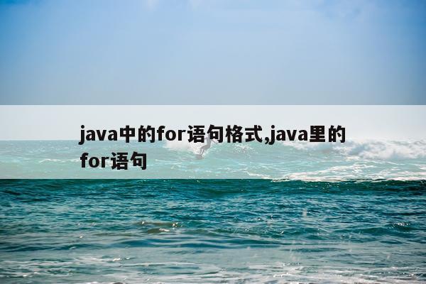 java中的for语句格式,java里的for语句