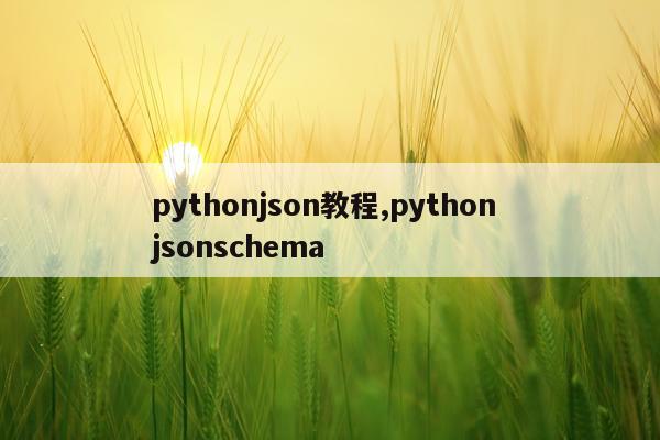 pythonjson教程,python jsonschema