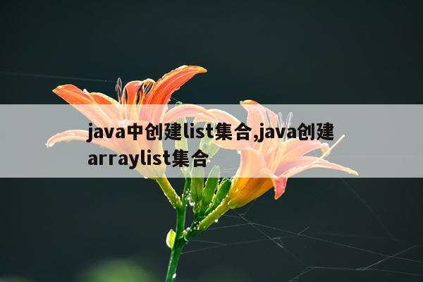 java中创建list集合,java创建arraylist集合
