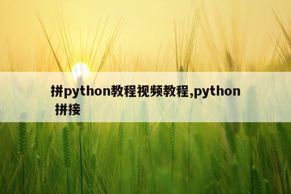 拼python教程视频教程,python 拼接
