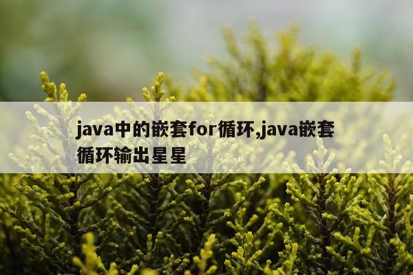 java中的嵌套for循环,java嵌套循环输出星星