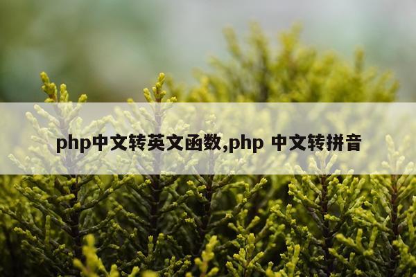php中文转英文函数,php 中文转拼音