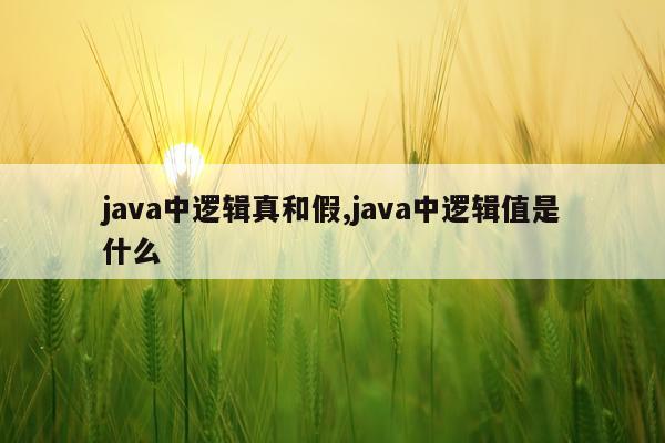 java中逻辑真和假,java中逻辑值是什么
