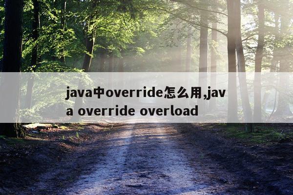 java中override怎么用,java override overload