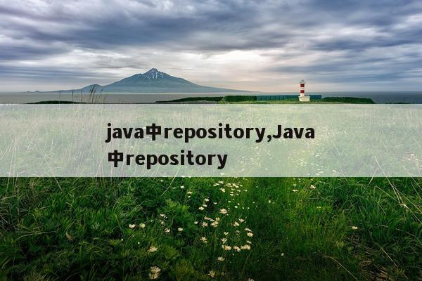 java中repository,Java中repository
