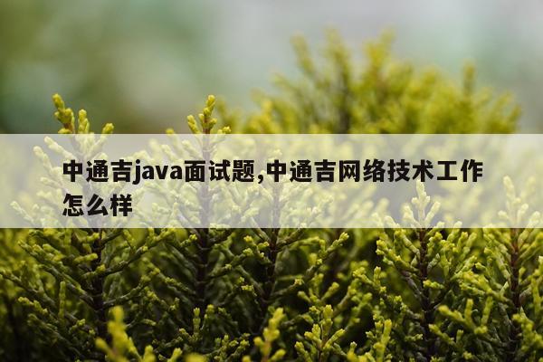 中通吉java面试题,中通吉网络技术工作怎么样