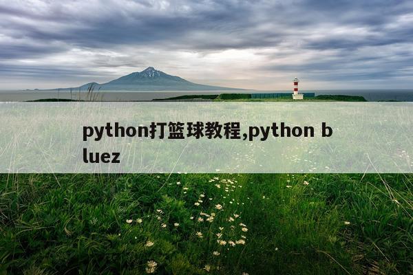 python打篮球教程,python bluez