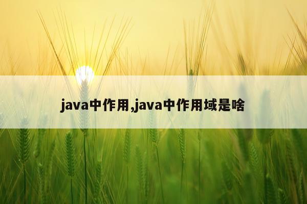java中作用,java中作用域是啥