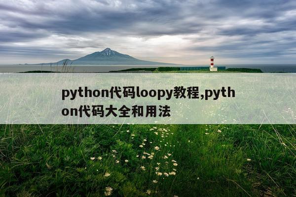 python代码loopy教程,python代码大全和用法
