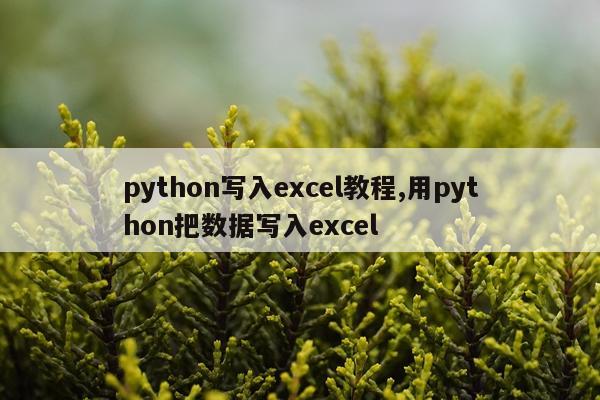python写入excel教程,用python把数据写入excel