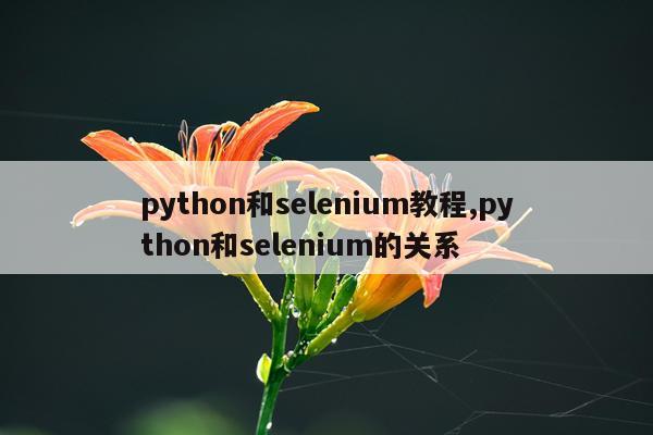 python和selenium教程,python和selenium的关系