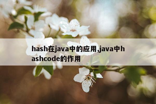 hash在java中的应用,java中hashcode的作用