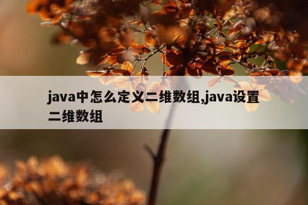 java中怎么定义二维数组,java设置二维数组