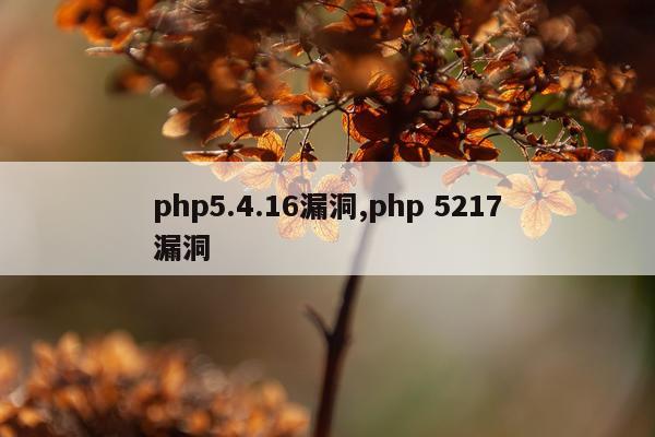 php5.4.16漏洞,php 5217漏洞