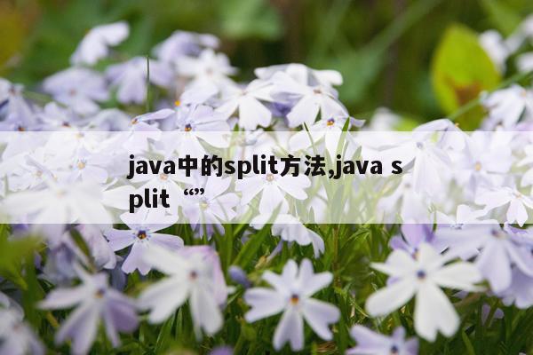 java中的split方法,java split“”