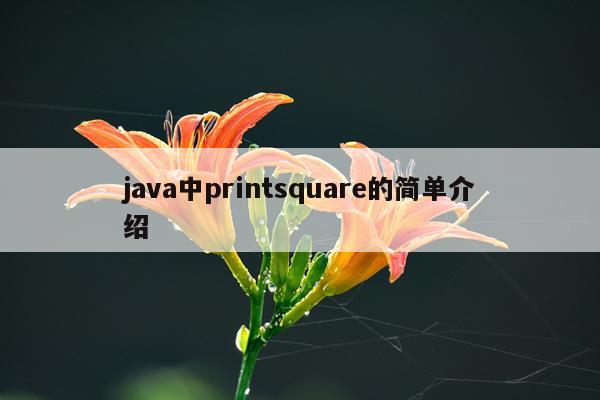 java中printsquare的简单介绍