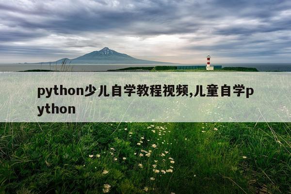 python少儿自学教程视频,儿童自学python