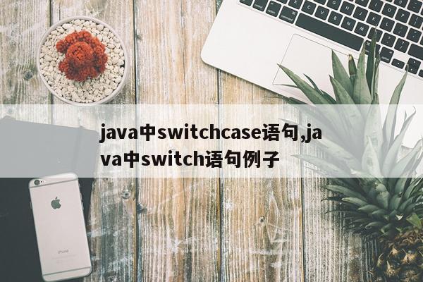 java中switchcase语句,java中switch语句例子