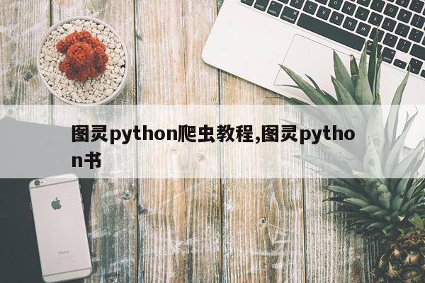 图灵python爬虫教程,图灵python书