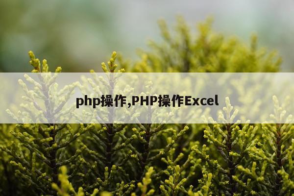 php操作,PHP操作Excel