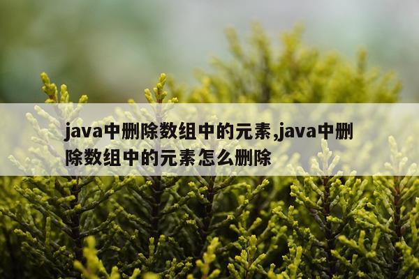 java中删除数组中的元素,java中删除数组中的元素怎么删除