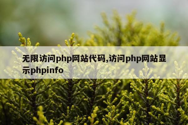 无限访问php网站代码,访问php网站显示phpinfo