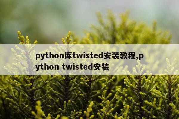 python库twisted安装教程,python twisted安装