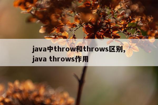 java中throw和throws区别,java throws作用