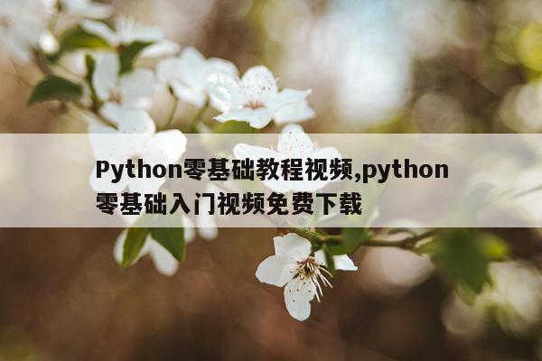 Python零基础教程视频,python零基础入门视频免费下载