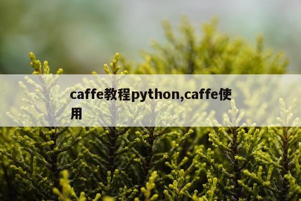 caffe教程python,caffe使用