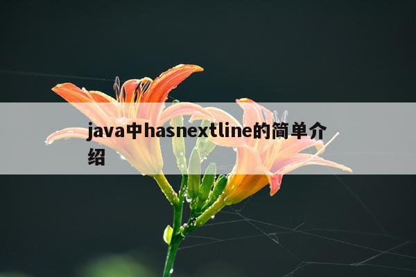 java中hasnextline的简单介绍