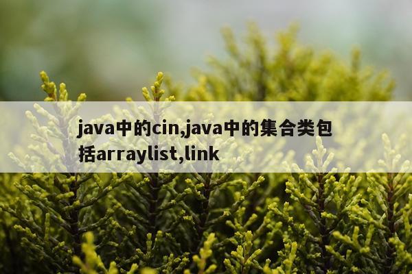 java中的cin,java中的集合类包括arraylist,link