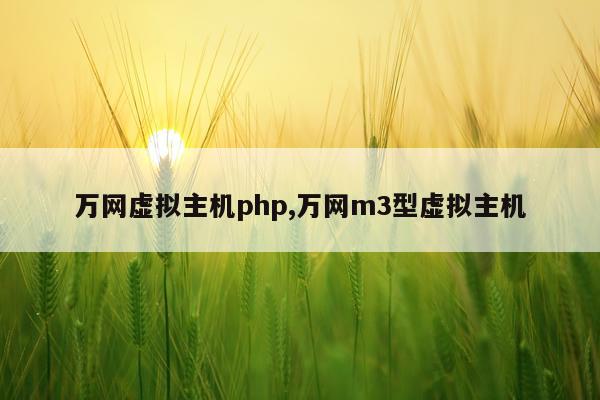 万网虚拟主机php,万网m3型虚拟主机