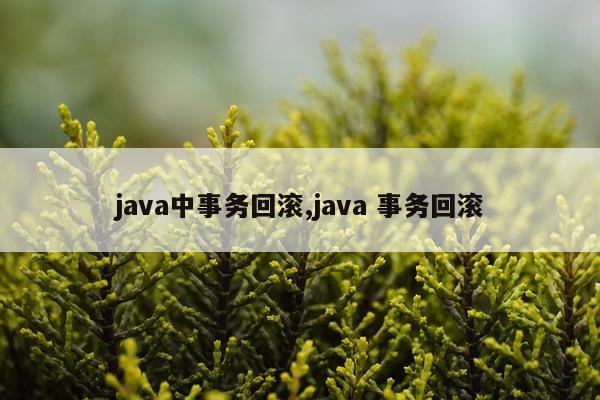 java中事务回滚,java 事务回滚