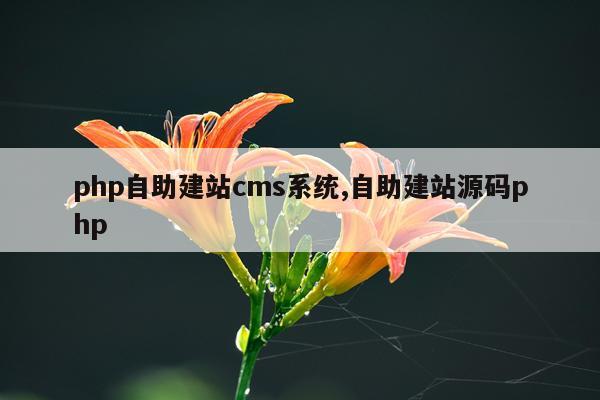 php自助建站cms系统,自助建站源码php