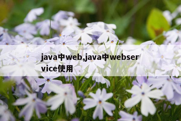 java中web,java中webservice使用