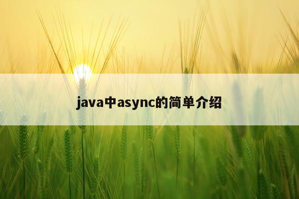 java中async的简单介绍