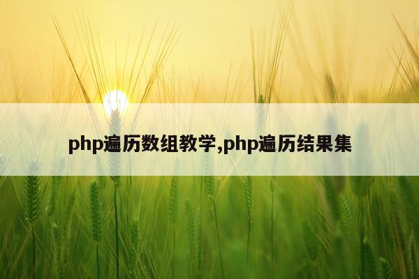 php遍历数组教学,php遍历结果集