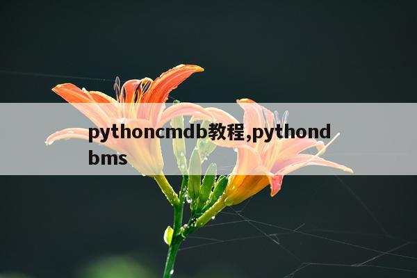 pythoncmdb教程,pythondbms