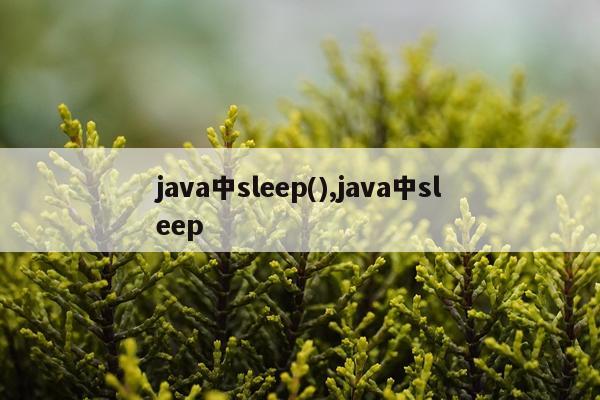 java中sleep(),java中sleep