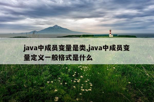 java中成员变量是类,java中成员变量定义一般格式是什么