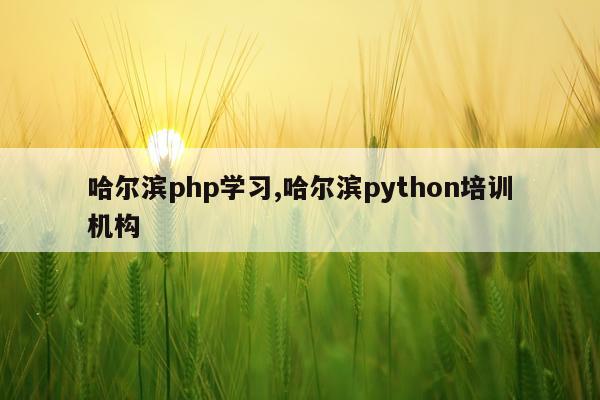 哈尔滨php学习,哈尔滨python培训机构