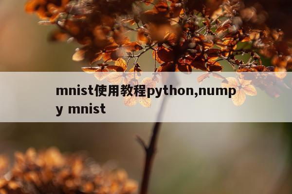 mnist使用教程python,numpy mnist
