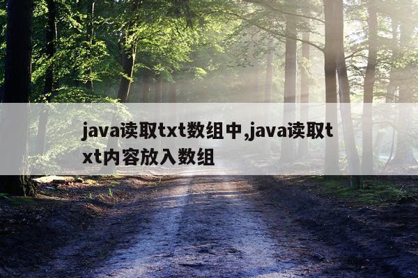 java读取txt数组中,java读取txt内容放入数组
