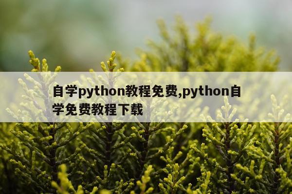 自学python教程免费,python自学免费教程下载