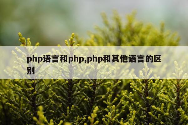 php语言和php,php和其他语言的区别