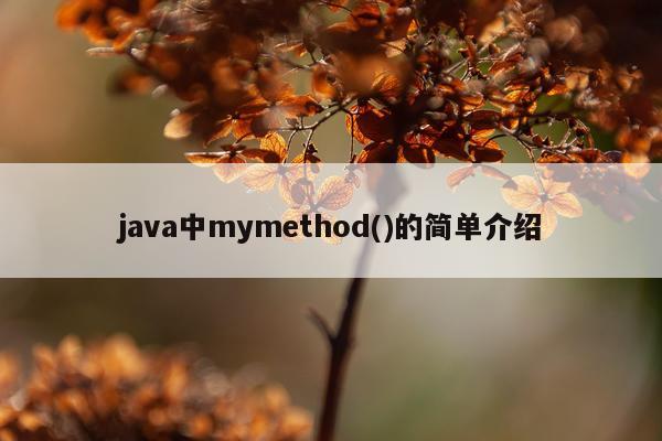 java中mymethod()的简单介绍