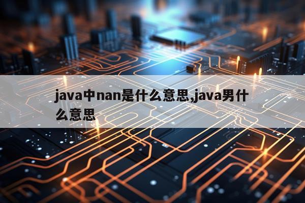 java中nan是什么意思,java男什么意思