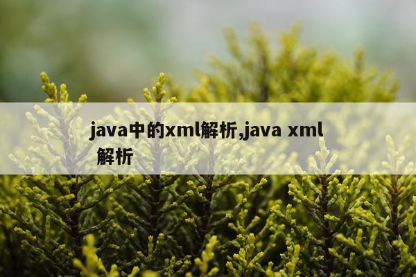 java中的xml解析,java xml 解析