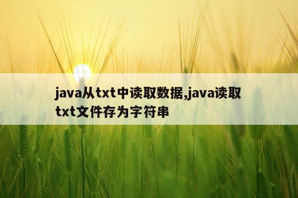 java从txt中读取数据,java读取txt文件存为字符串